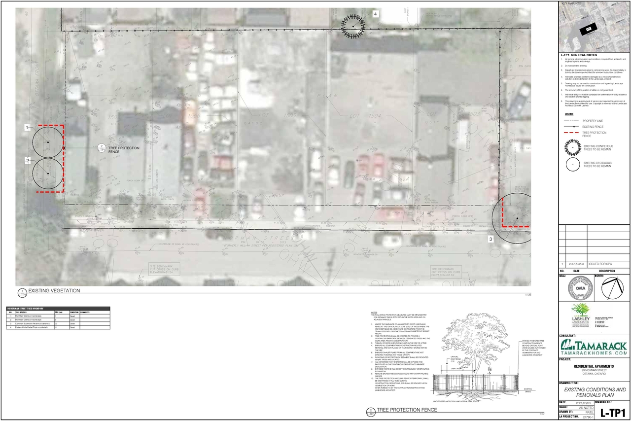 Construction site plan for project from page 13 of the file '93 Norman - UDRP Presentation May 2021'