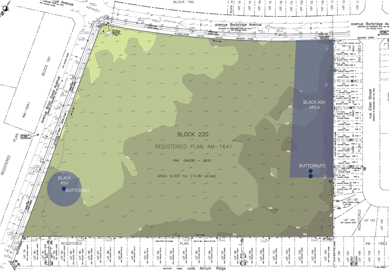 Construction site plan for project from page 14 of the file '2025-06-20 - Urban Design Brief - D07-12-25-0045'