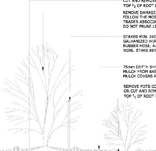 Image from page 23 of the file '2026-02-05 - Urban Design Brief - D07-12-26-0009'